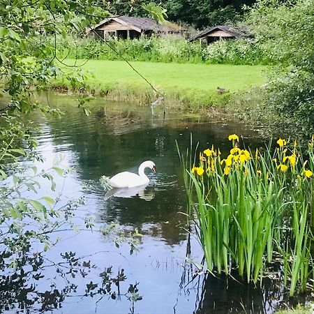 Bransford Farm Fishery & B & B Exterior photo